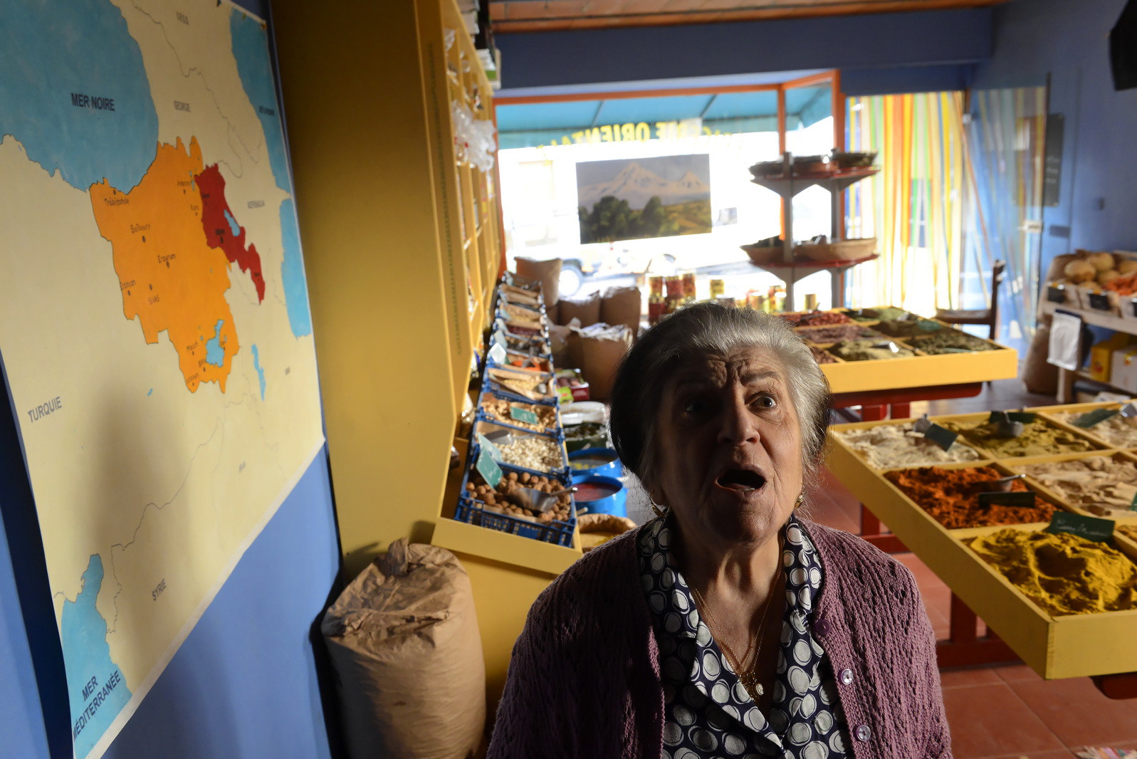 Une histoire de fou, réalisation Robert Guédiguian (2015)