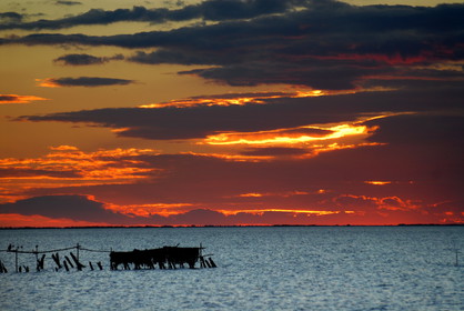 La Camargue pour le Conseil régional PACA,étang du Vaccares, aout 2006