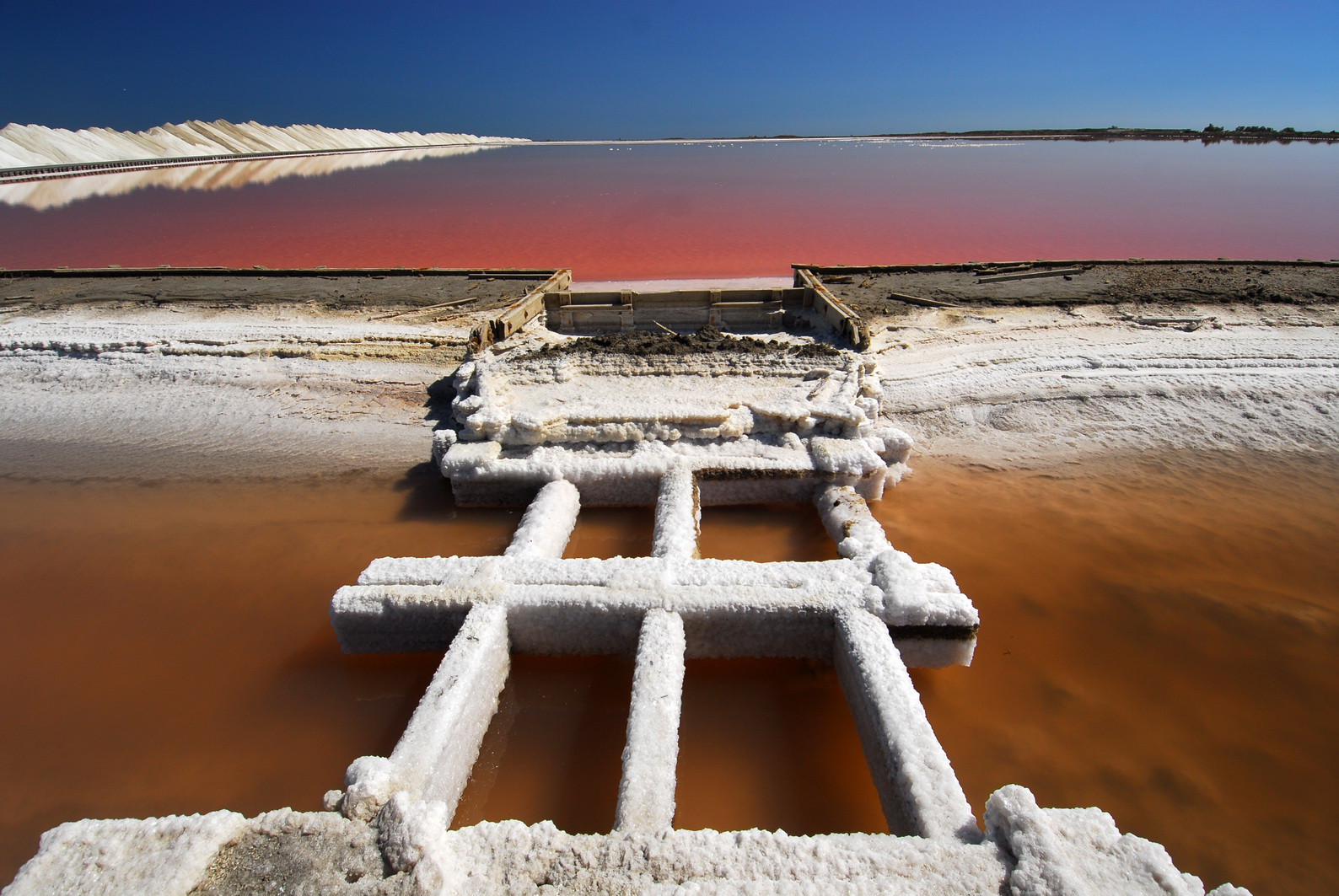 La Camargue, près des Salins de Giraud aout 2006.