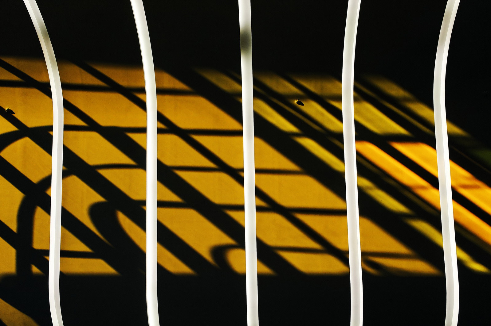 Archives départementales de l'Hérault, Pierres Vives, architecte Zaha Hadid, avril 2012