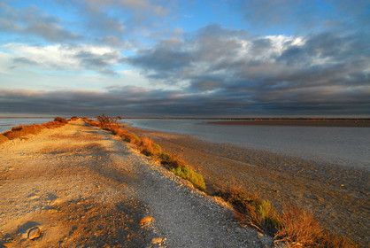 La Camarge, la Digue à la mer aout 2006.