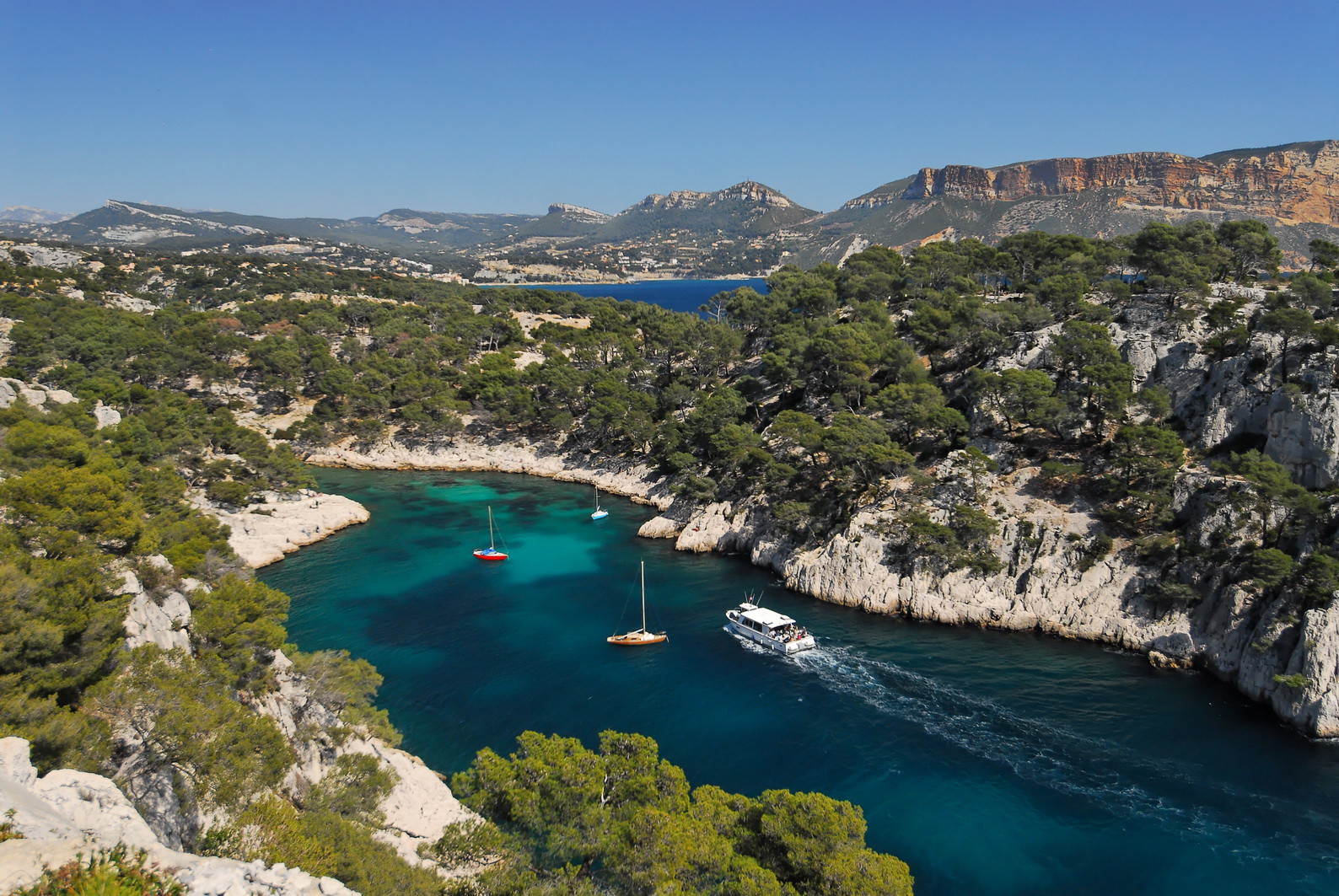 Les calanques, Port Pin 2009 pour le Conseil Régional Alpes Cote d'Azur